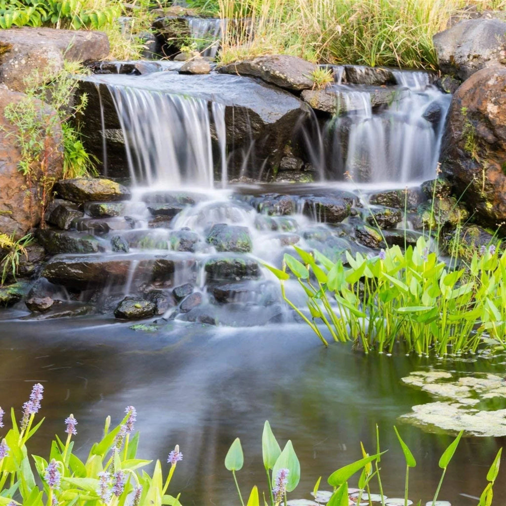 HALF OFF PONDS Piranha Series 5,500 GPH Direct Drive Submersible Pump Water Gardens, Ponds and Waterfalls - PN-5500