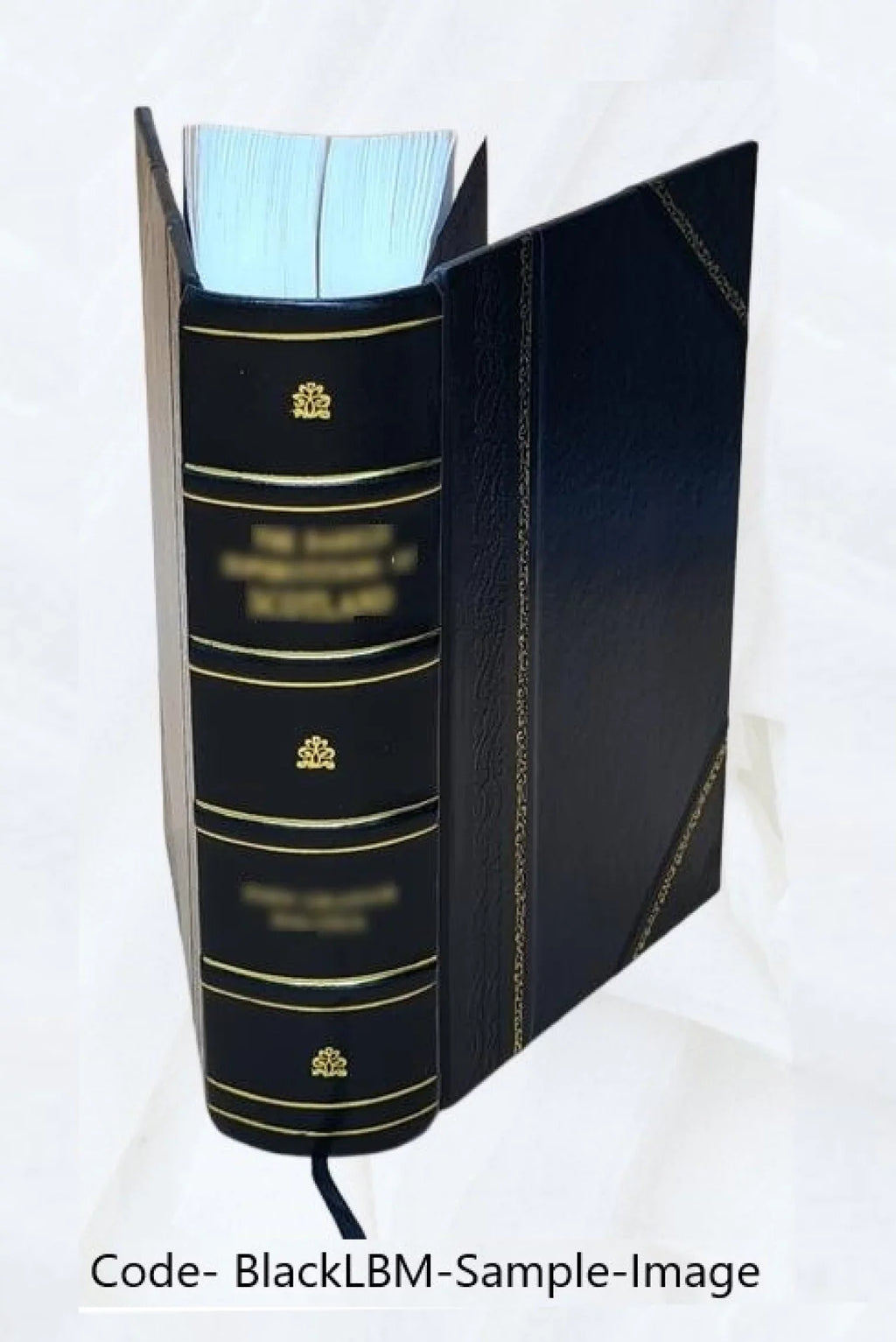 [(Soundex) index to 1900 census, Pennsylvania] Volume PENNSYLVANIA - T1068 - R-300 John-R-300 Solomon** 1900 [Leather Bound]