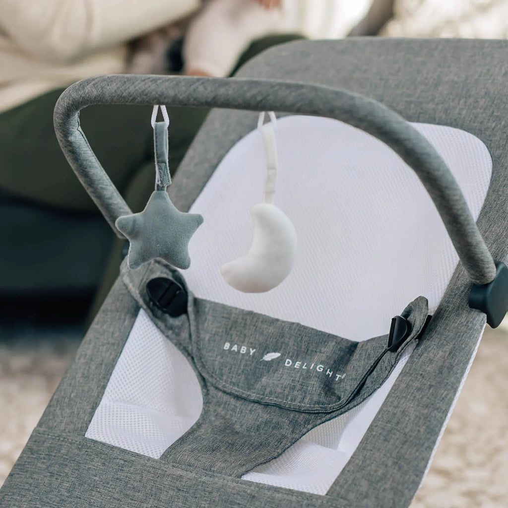 Baby Delight Alpine Deluxe Portable Baby Bouncer, Infants 0-6 Months, Charcoal Tweed