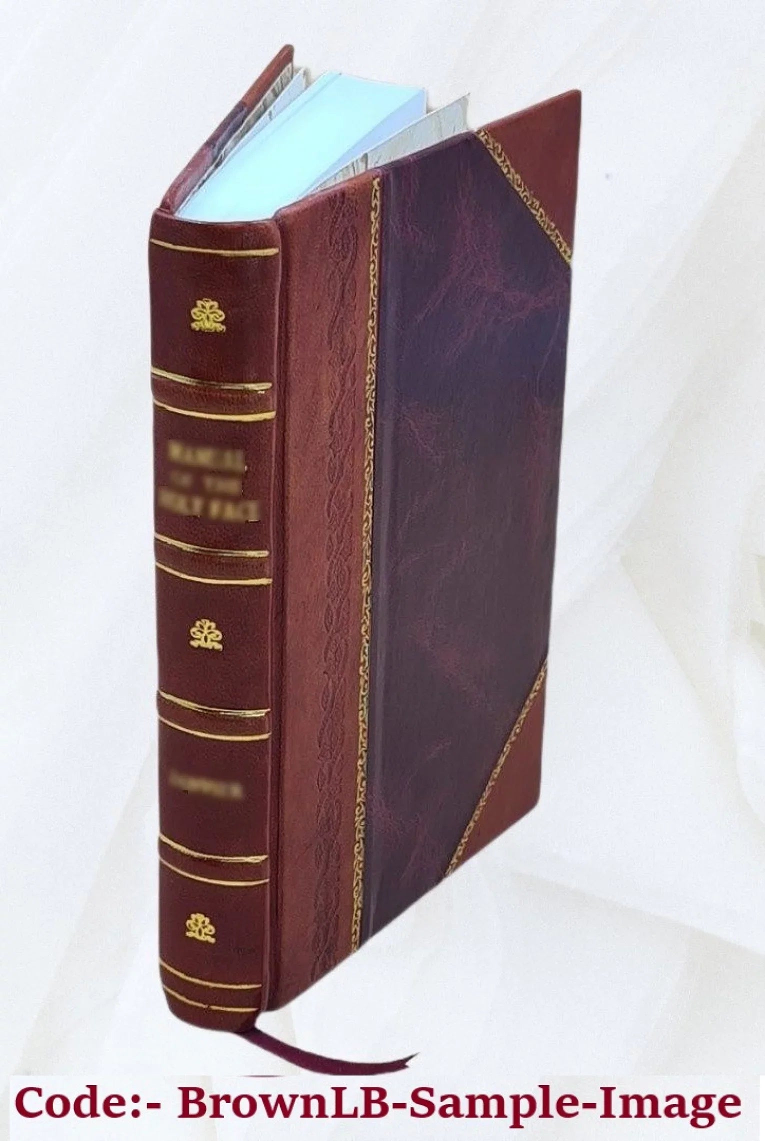 Memoirs of the judiciary and the bar of New England the nineteenth century : with a history of the judicial system of New England Volume 1 1900 [Leather Bound]