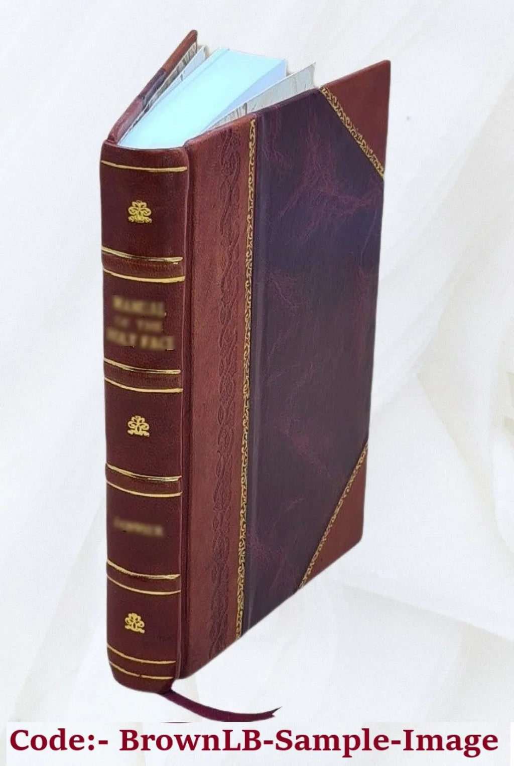 Annual report on the statistics of municipal finances city and town fiscal years ending between ... and ... / by the Director of the Bureau of Statistics. Volume 11th (1916/17) 1917 [Leather Bound