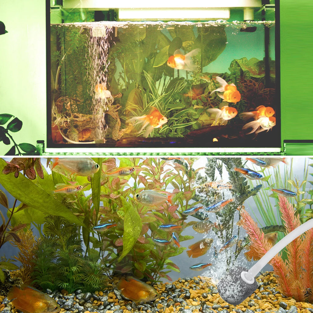 5.5V 1.5W Solar Air Pump Fish Oxygenator with Aquarium & Air Bubble Stone Pond Pump Aerator Rechargeable Fishing Fish Tranportation Small Ponds Pools Circulation Garden L