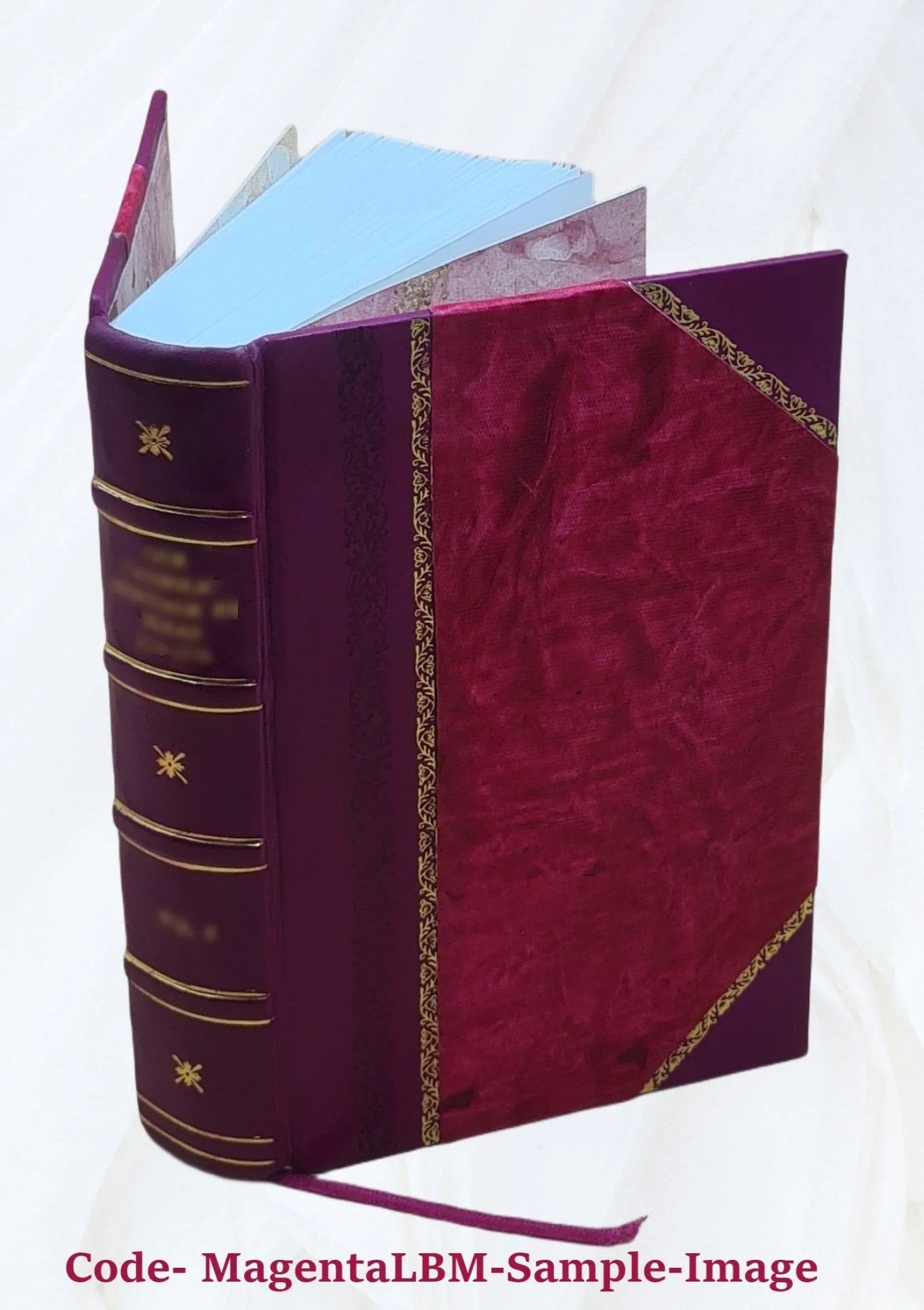 Vocabulaire franecais-turc Ã l'usage des interprÃtes: des commerçans, des navigateurs, et autres 1831 [Leather Bound]
