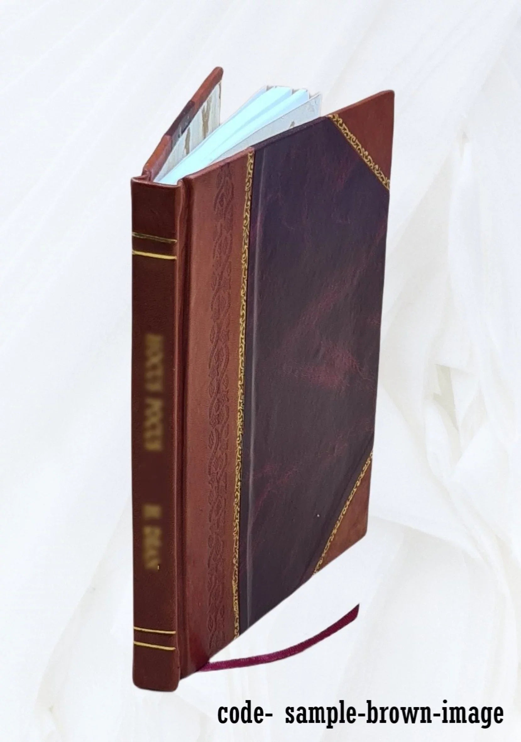 Roads from Rome by Anne C. E. Allinson... Volume 1913 1913 [Leather Bound]