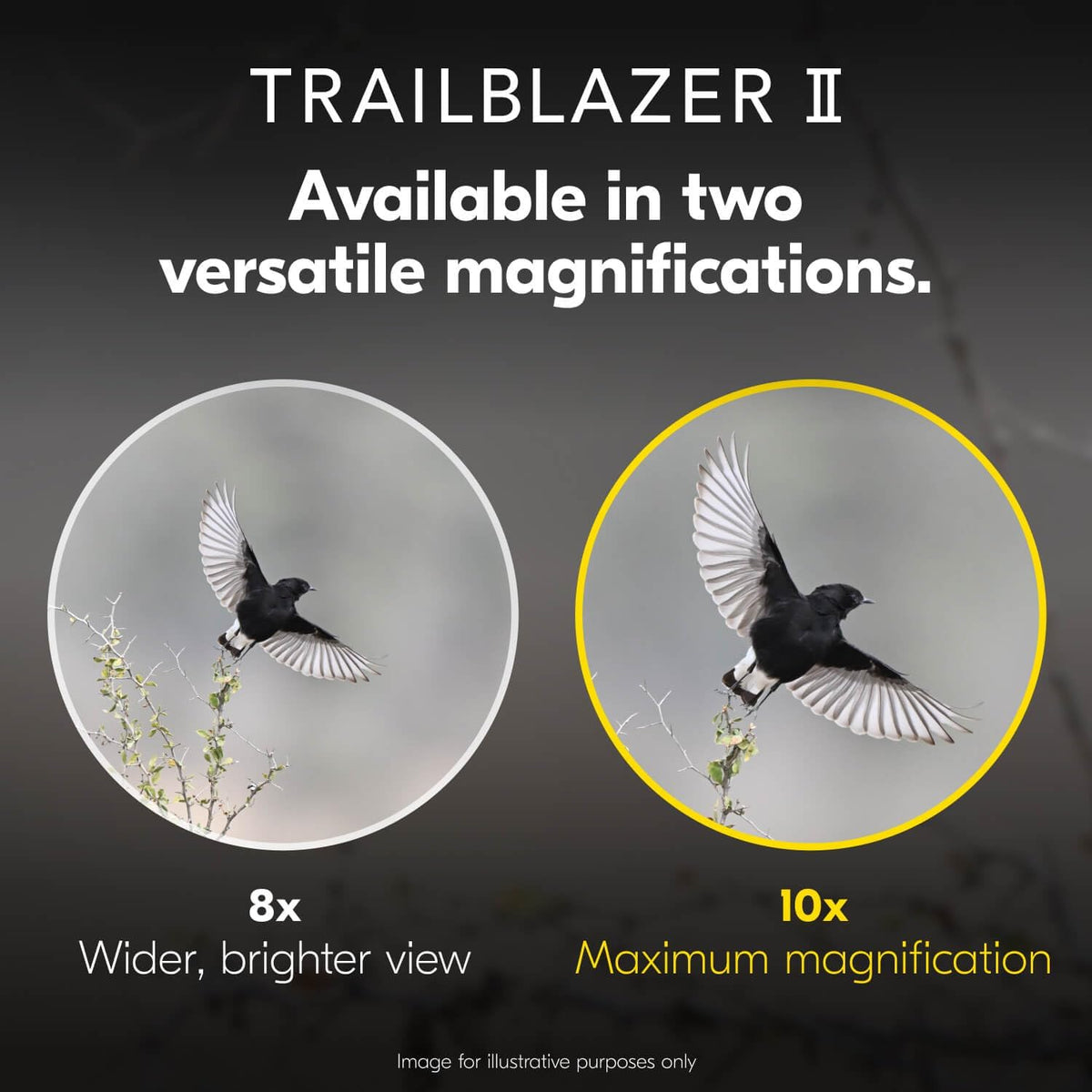 Nikon Trailblazer II 10x25 | Ultra- and Travel Binoculars