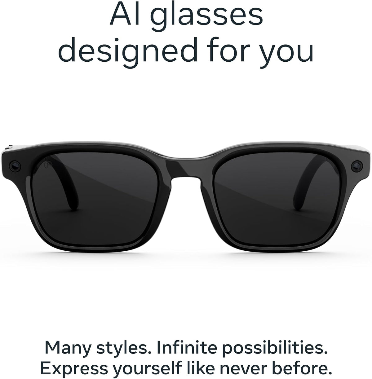 Meta Glasses, Adventurer AI Glasses
