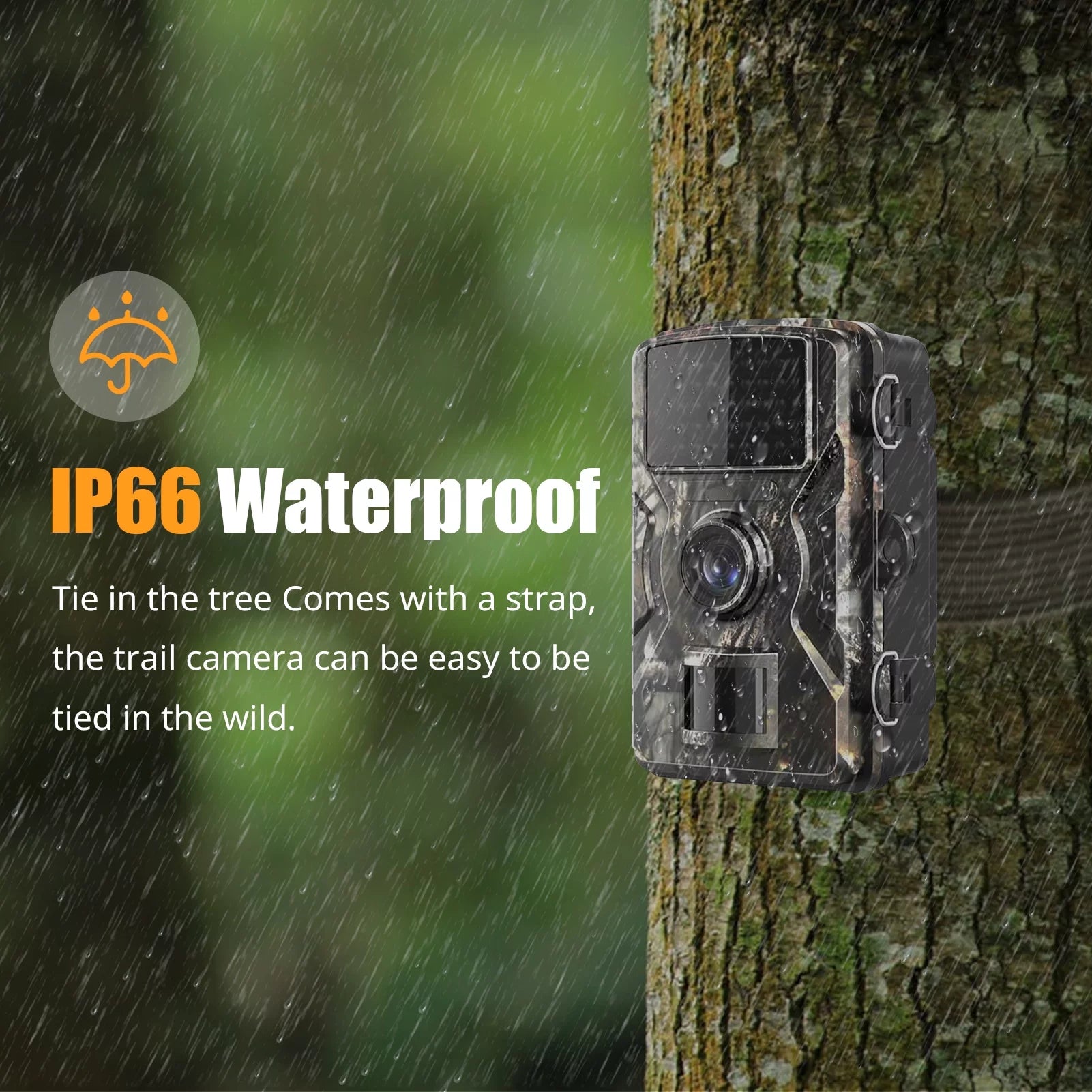 Ira Camera,Ir VisionDisplayFarm 1080p Camera With 2.4'' Tft Color Camera With Ir Ip66 Waterproof 0.6s Time And 2.4'' Waterproof 0.6s TimeIp66 WaterproofQisuo