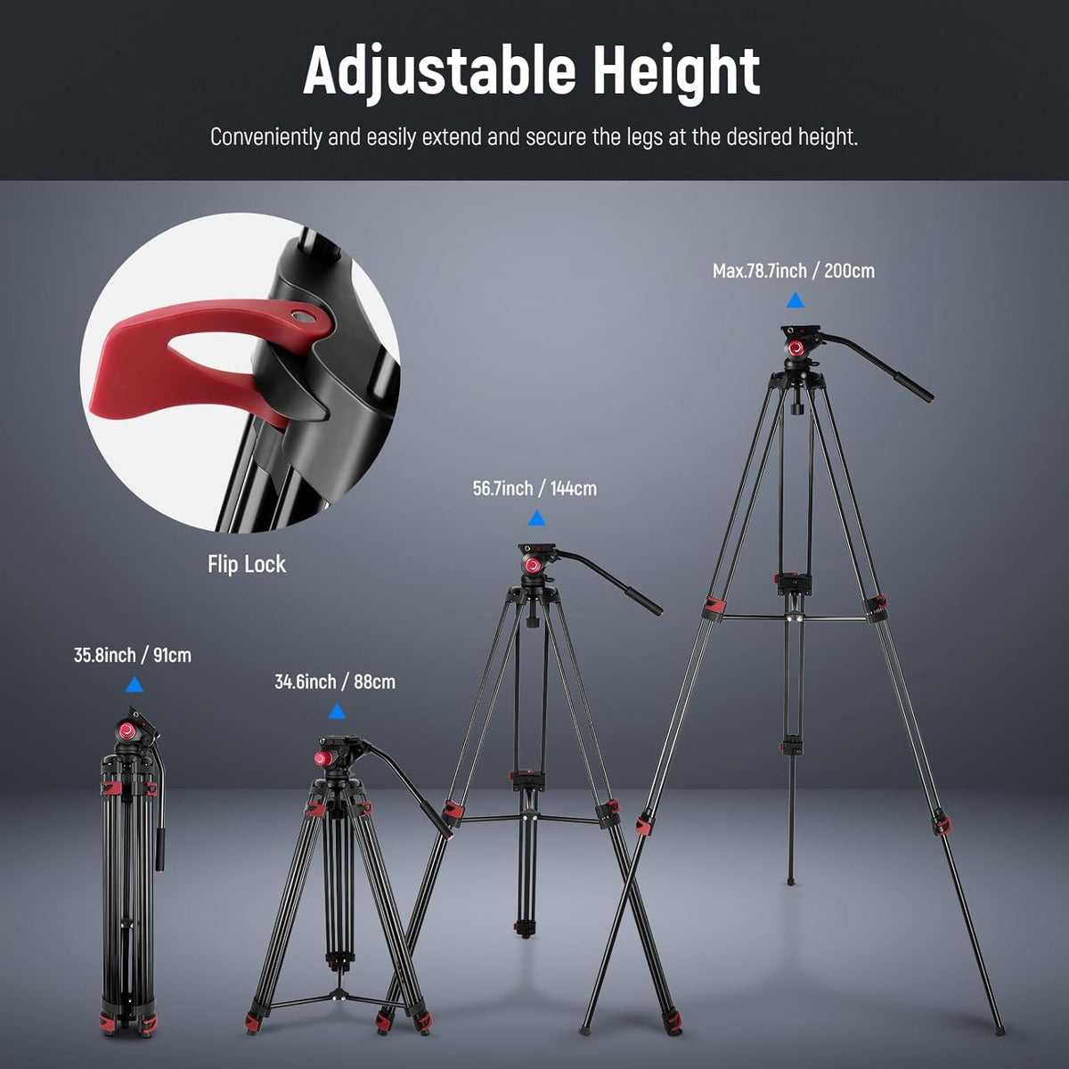NEEWER 79"/200cm Video Tripod, Heavy Duty Aluminum Alloy Camera Tripod