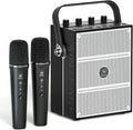 100W Powerful Voice Amplifier with 2 Wireless Microphones S99