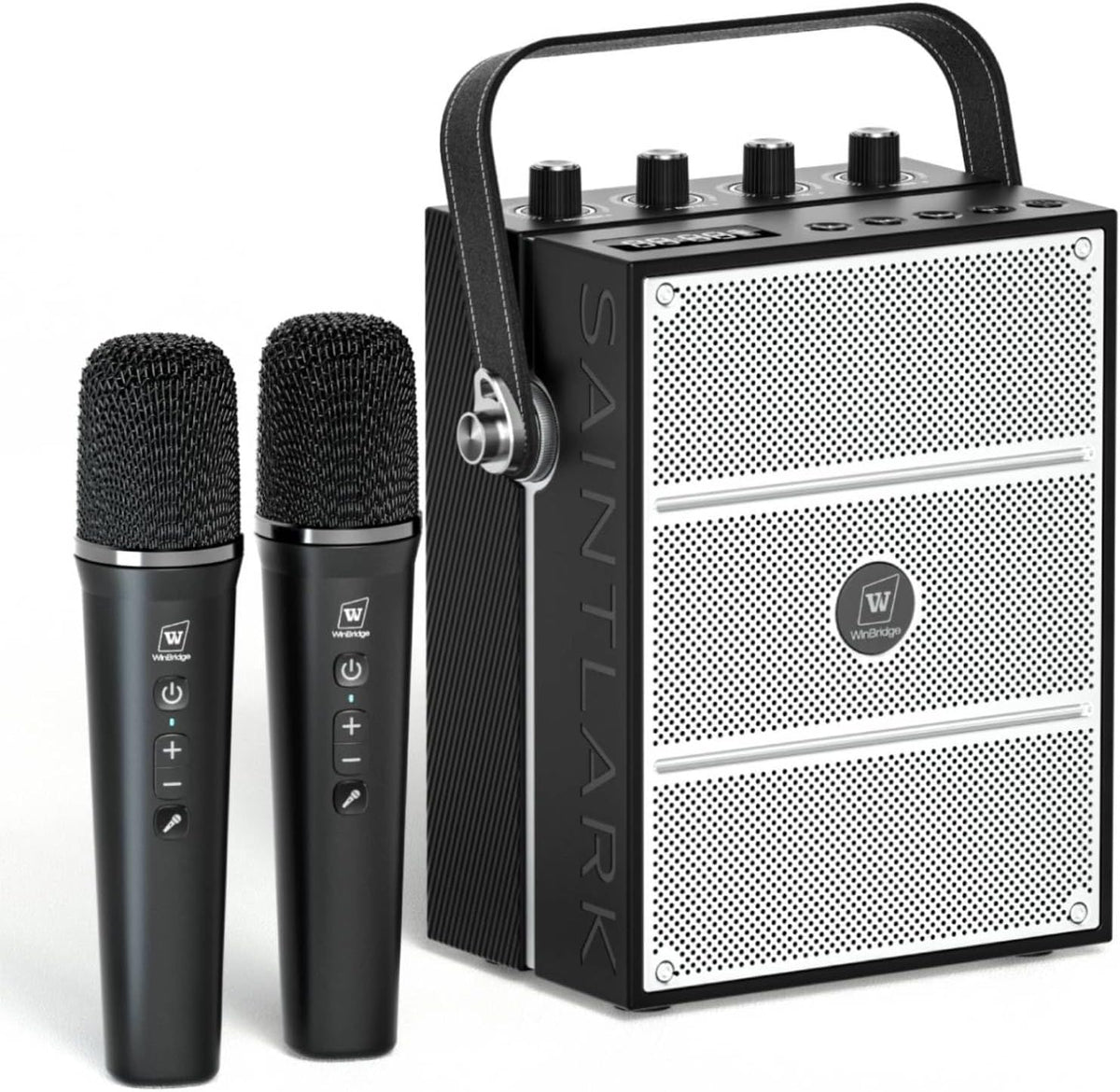 100W Powerful Voice Amplifier with 2 Wireless Microphones S99