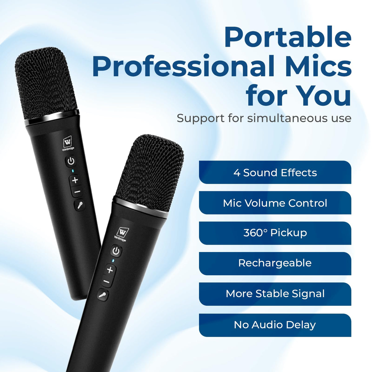 100W Powerful Voice Amplifier with 2 Wireless Microphones S99