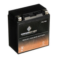 Chrome Battery YTX16L-BS (16L-BS 12 Volt,14 Ah, 230 CCA) Jet Ski Battery Kawasaki Jf650 Ts 1995
