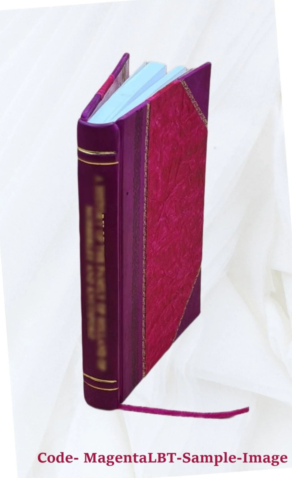 FSI - Russian FAST Course Student Text lesson 6-8 [Leather Bound]