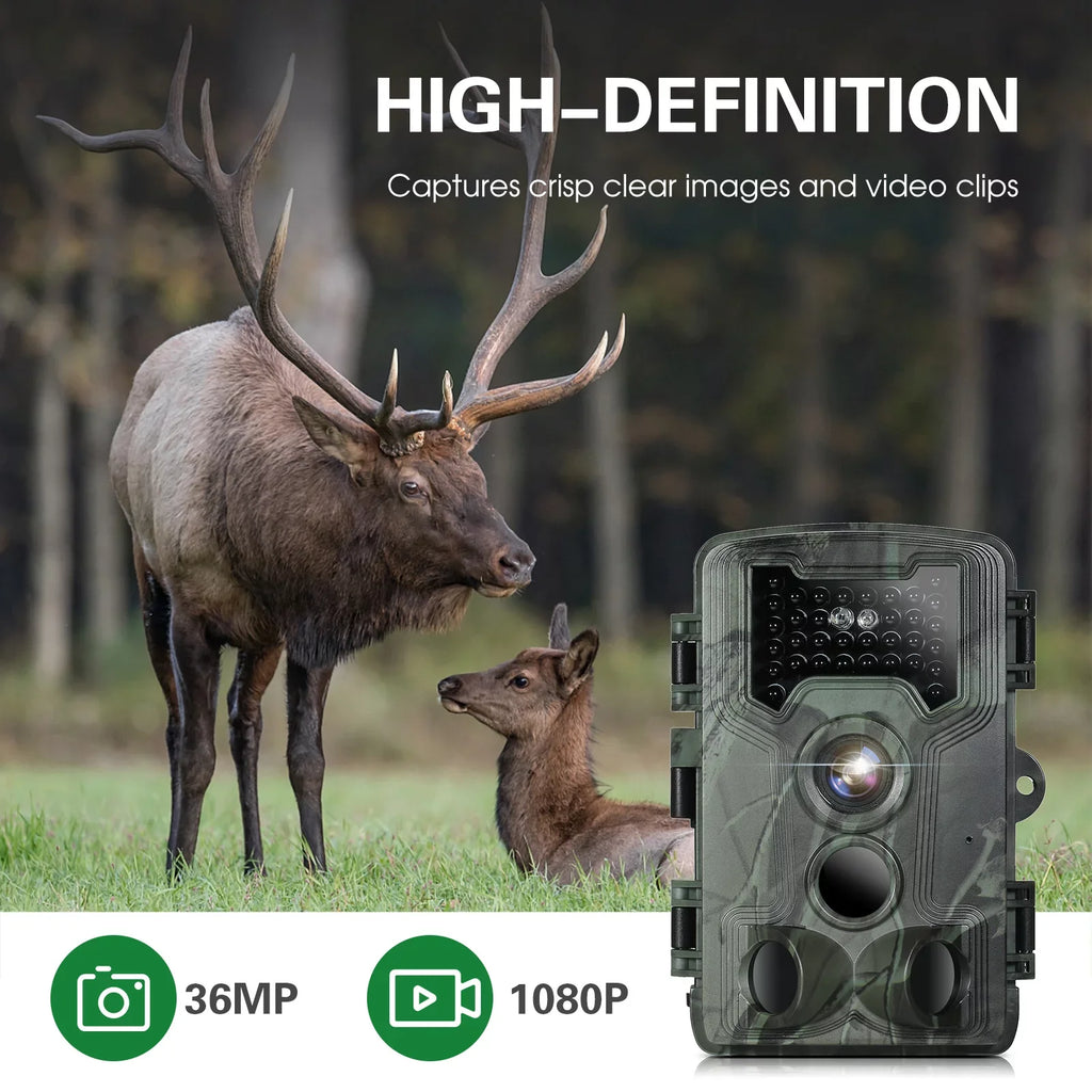 Waterproof 1080P Trail and Game Camera, 36MP Night Vision Camera Wildlife Researching