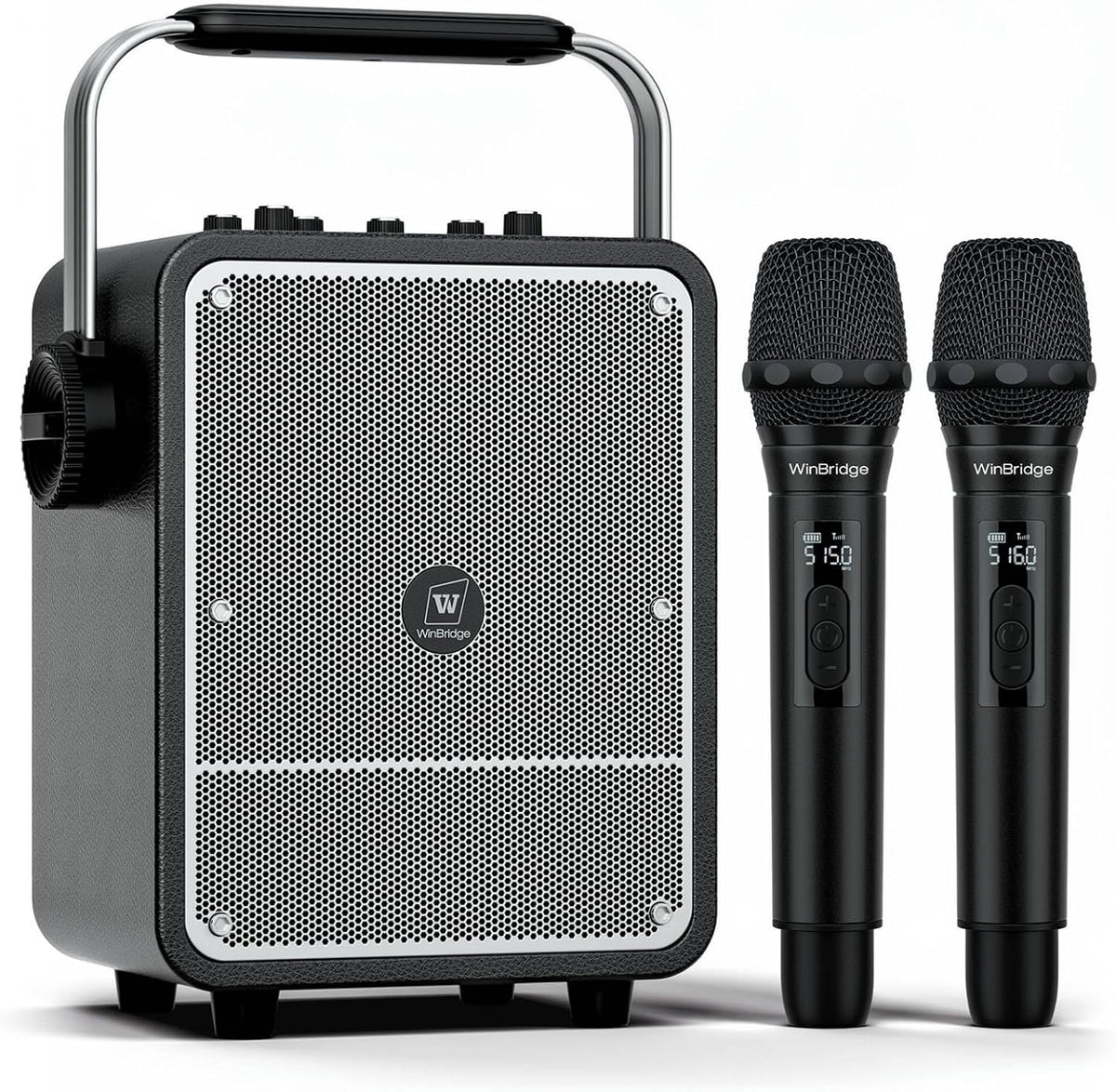 150W High-Power Karaoke Machine with 2 Wireless Microphones for Adults S200