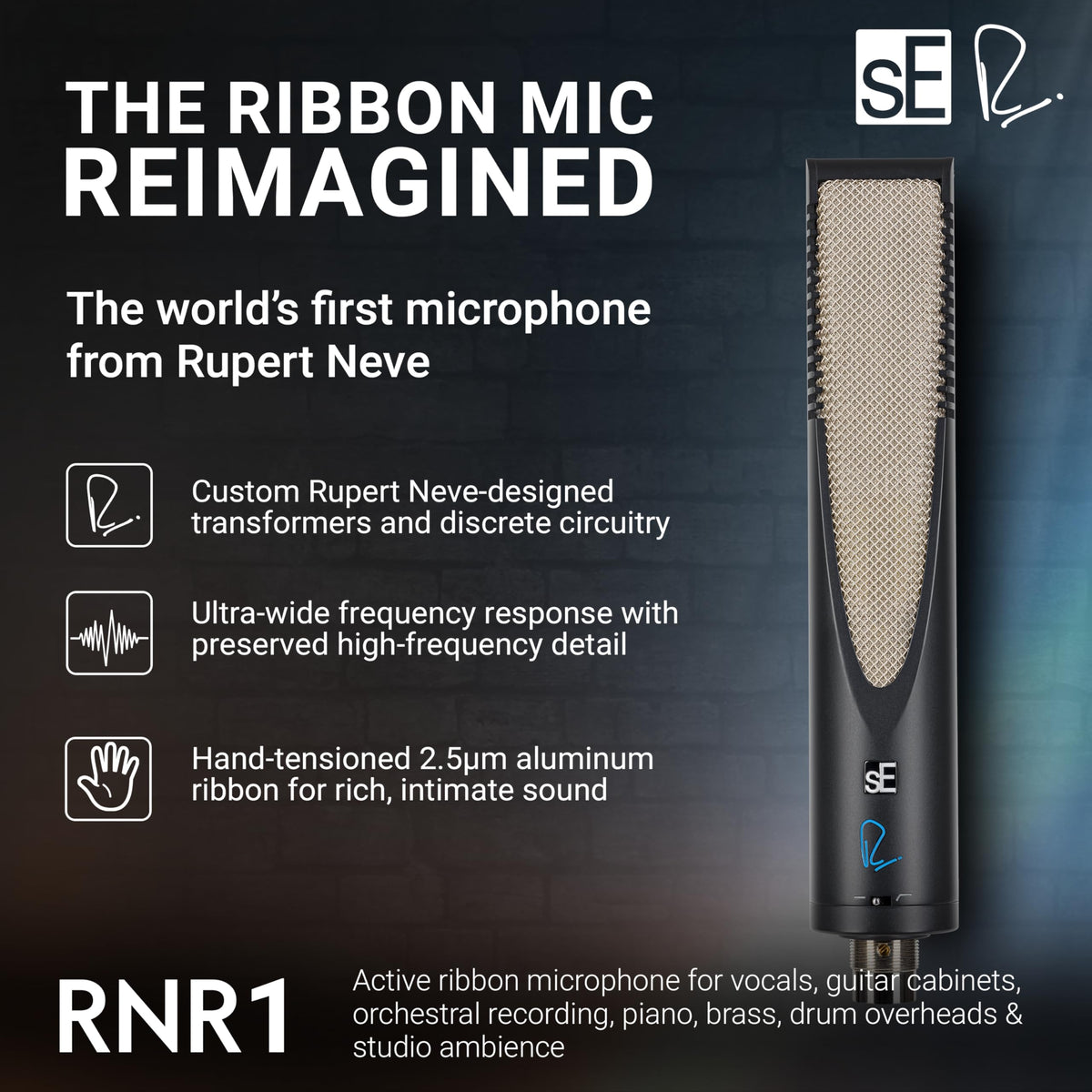 SE ELECTRONICS Rupert Neve RNT Multi-Pattern Tube Condenser Microphone for Vocals & Instruments - Professional Studio Recording Microphone with Custom Output Transformers & 1" True Condenser Capsule