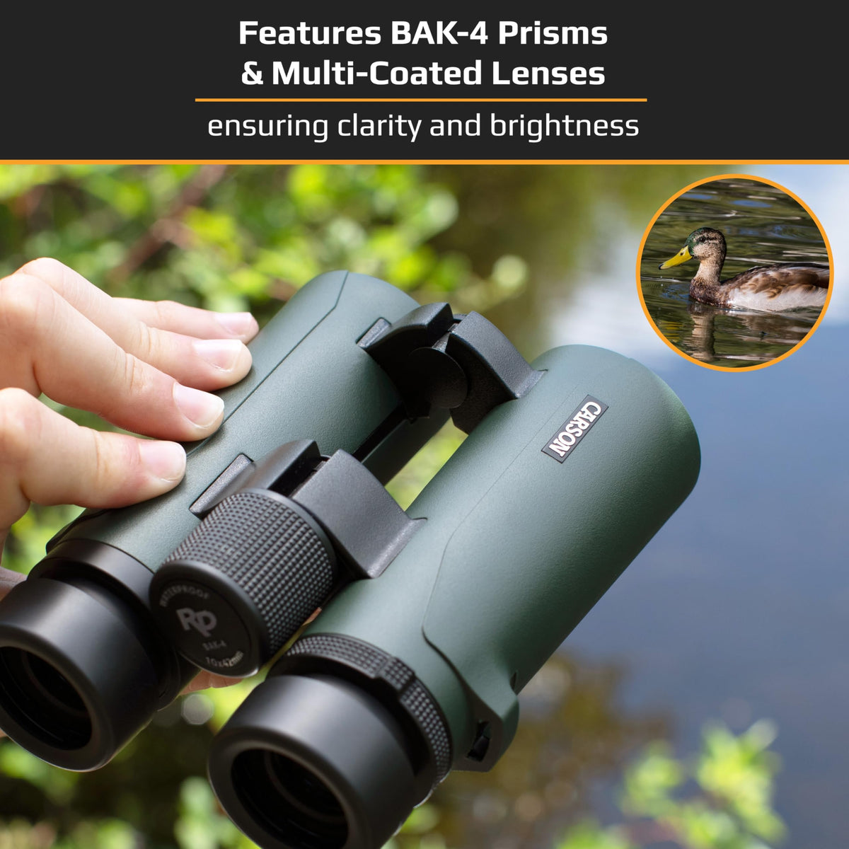 RD Series 8x26mm, Open Bridge Compact Binoculars
