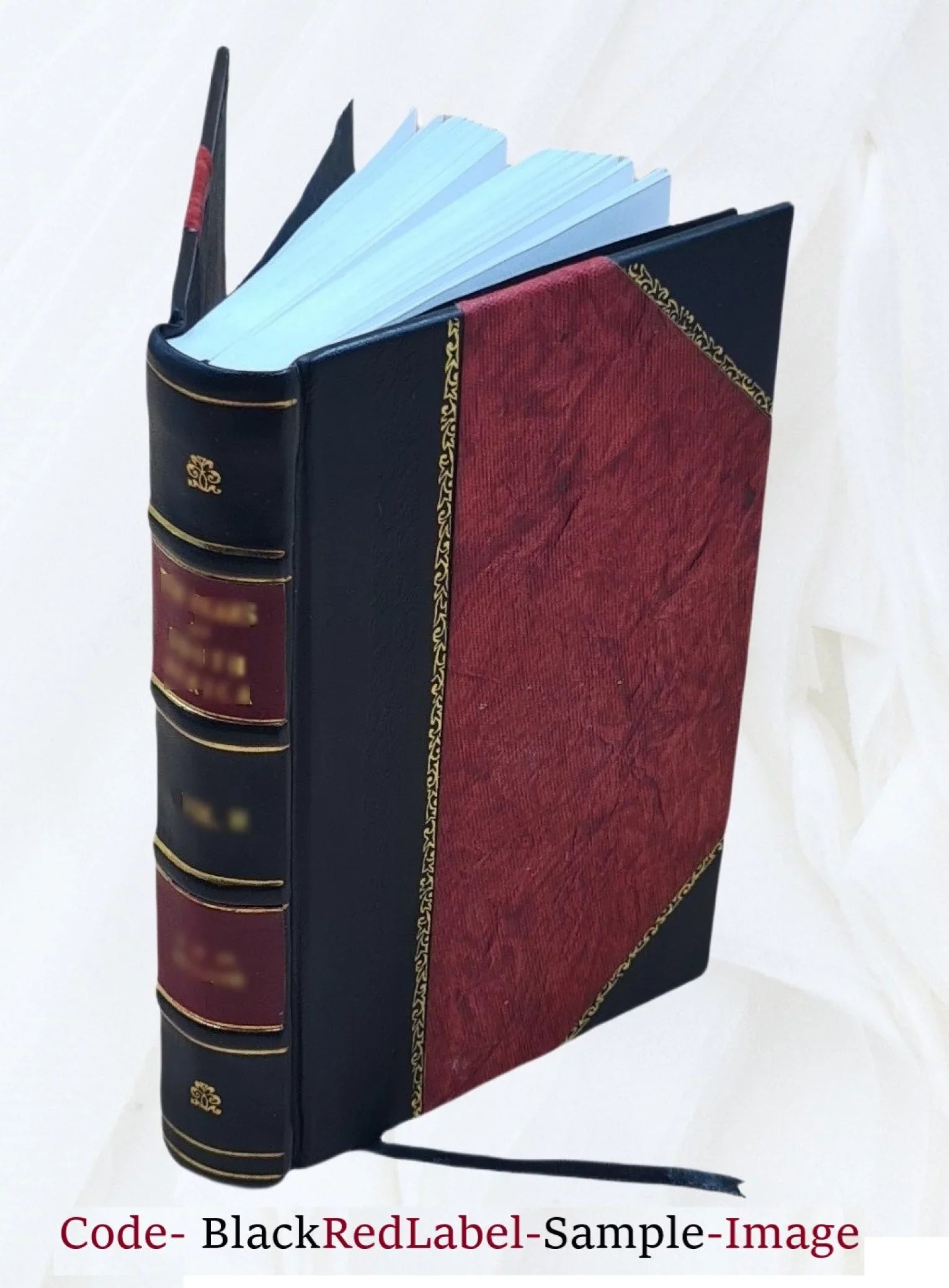 The bi-literal cypher of Sir Francis Bacon; 1901 [Leather Bound]