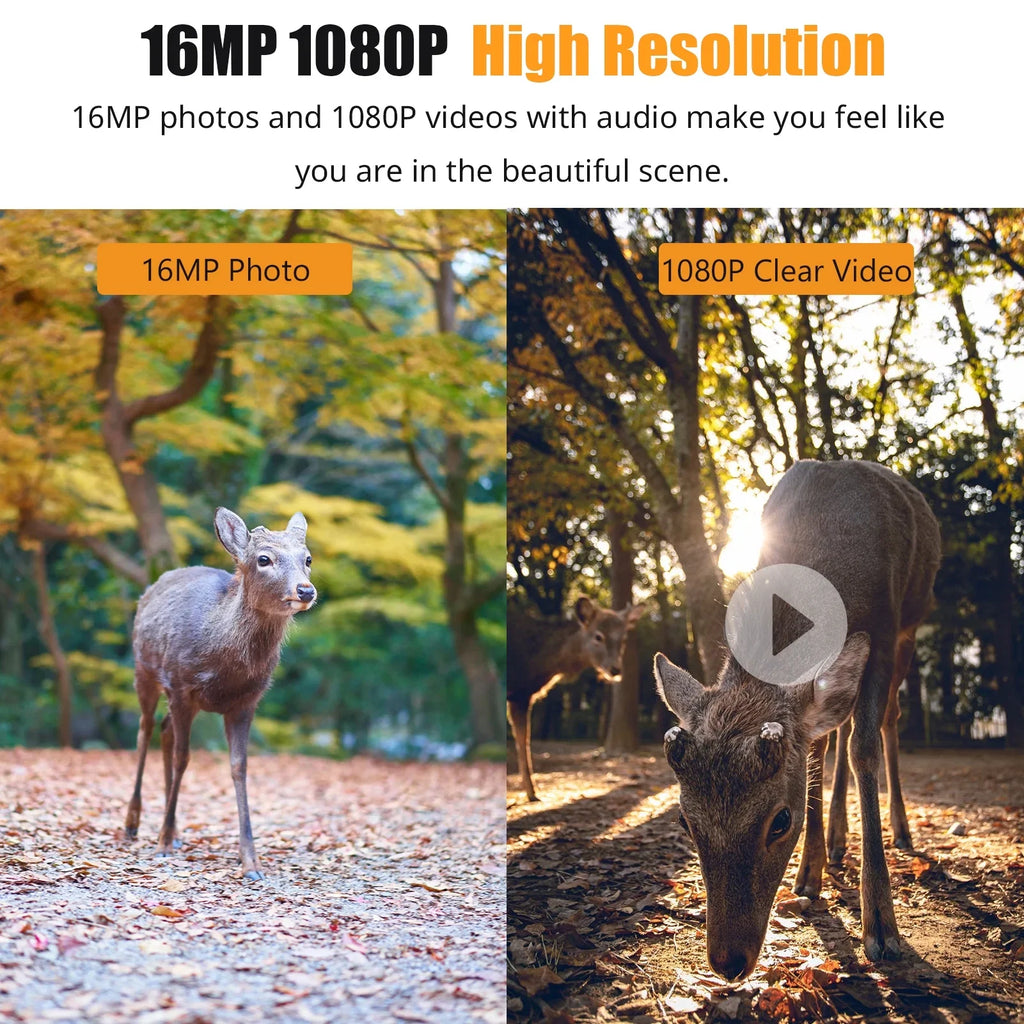 Ira Camera,Ir VisionDisplayFarm 1080p Camera With 2.4'' Tft Color Camera With Ir Ip66 Waterproof 0.6s Time And 2.4'' Waterproof 0.6s TimeIp66 WaterproofQisuo