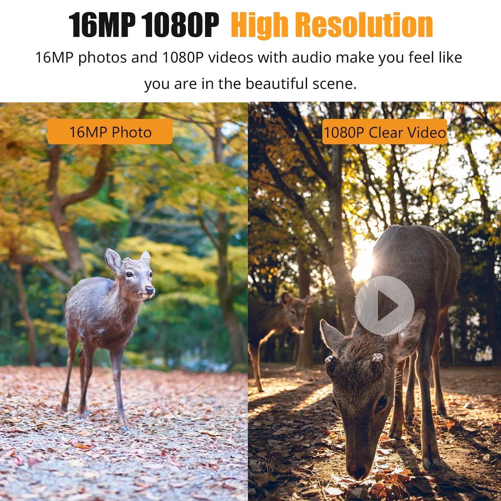 Ira Camera,Ir VisionDisplayFarm 1080p Camera With 2.4'' Tft Color Camera With Ir Ip66 Waterproof 0.6s Time And 2.4'' Waterproof 0.6s TimeIp66 WaterproofQisuo