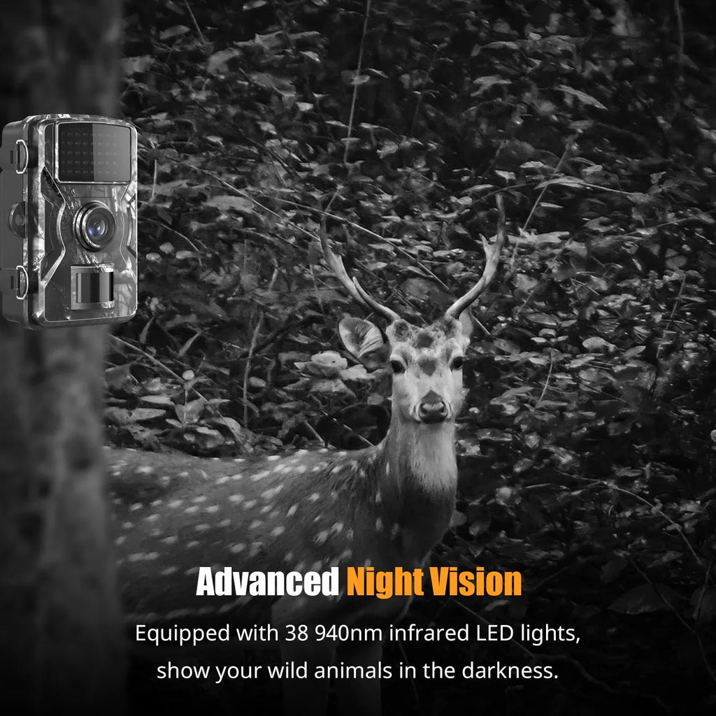 Ira Camera,Ir VisionDisplayFarm 1080p Camera With 2.4'' Tft Color Camera With Ir Ip66 Waterproof 0.6s Time And 2.4'' Waterproof 0.6s TimeIp66 WaterproofQisuo