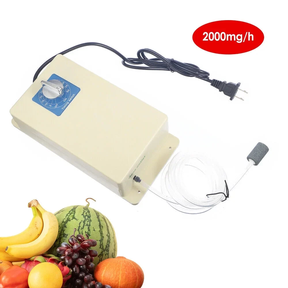 2000mg/h Ozone Generator Machine Air Water Sterilizer Purifier + Time Swithch