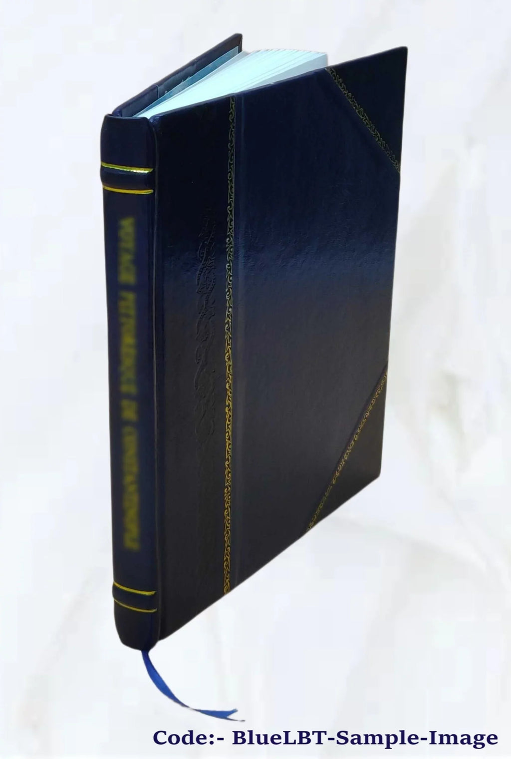 Juan de Aria, novela Alberto Blest Gana. Volume v.19 1904 [Leather Bound]
