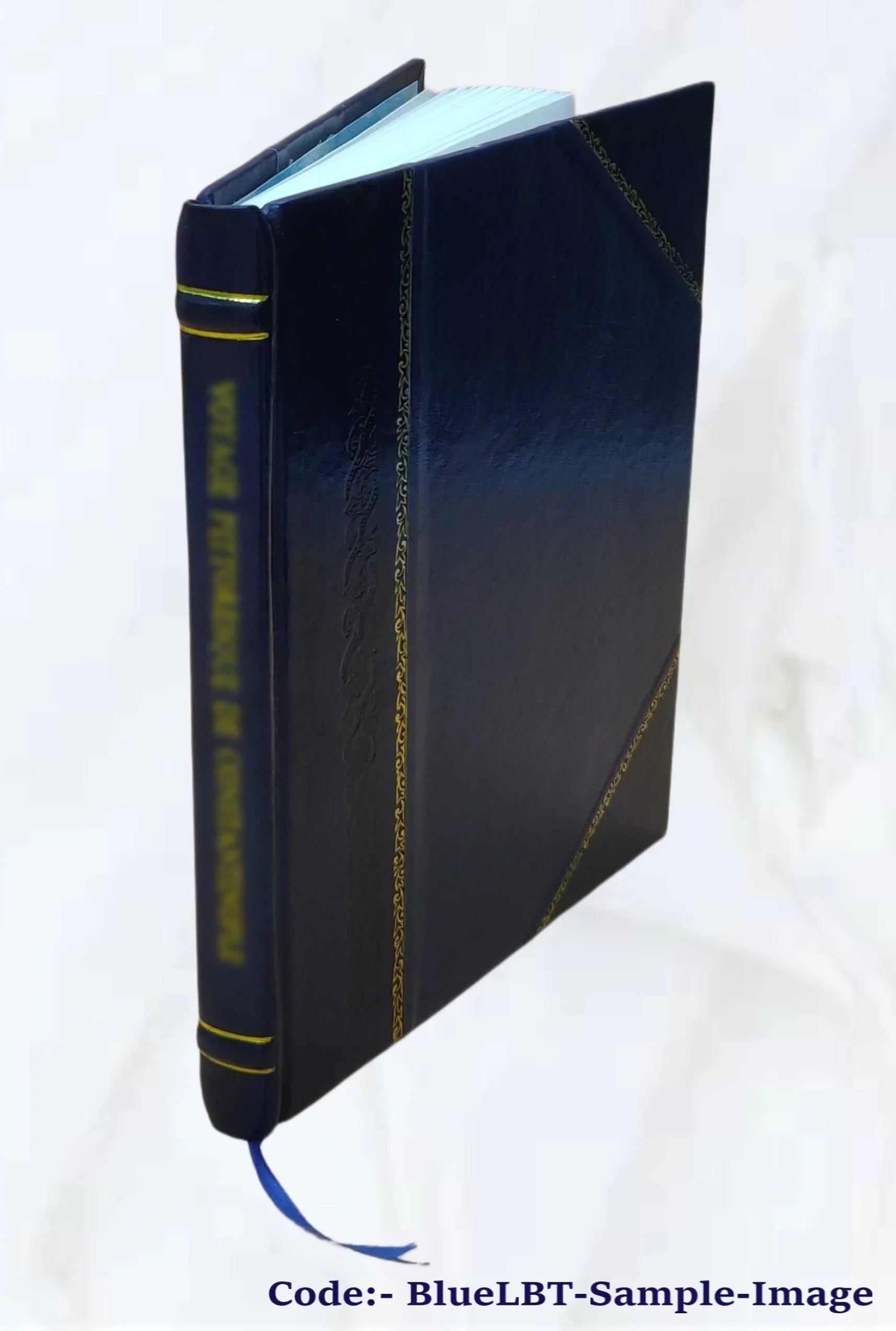 Juan de Aria, novela Alberto Blest Gana. Volume v.19 1904 [Leather Bound]