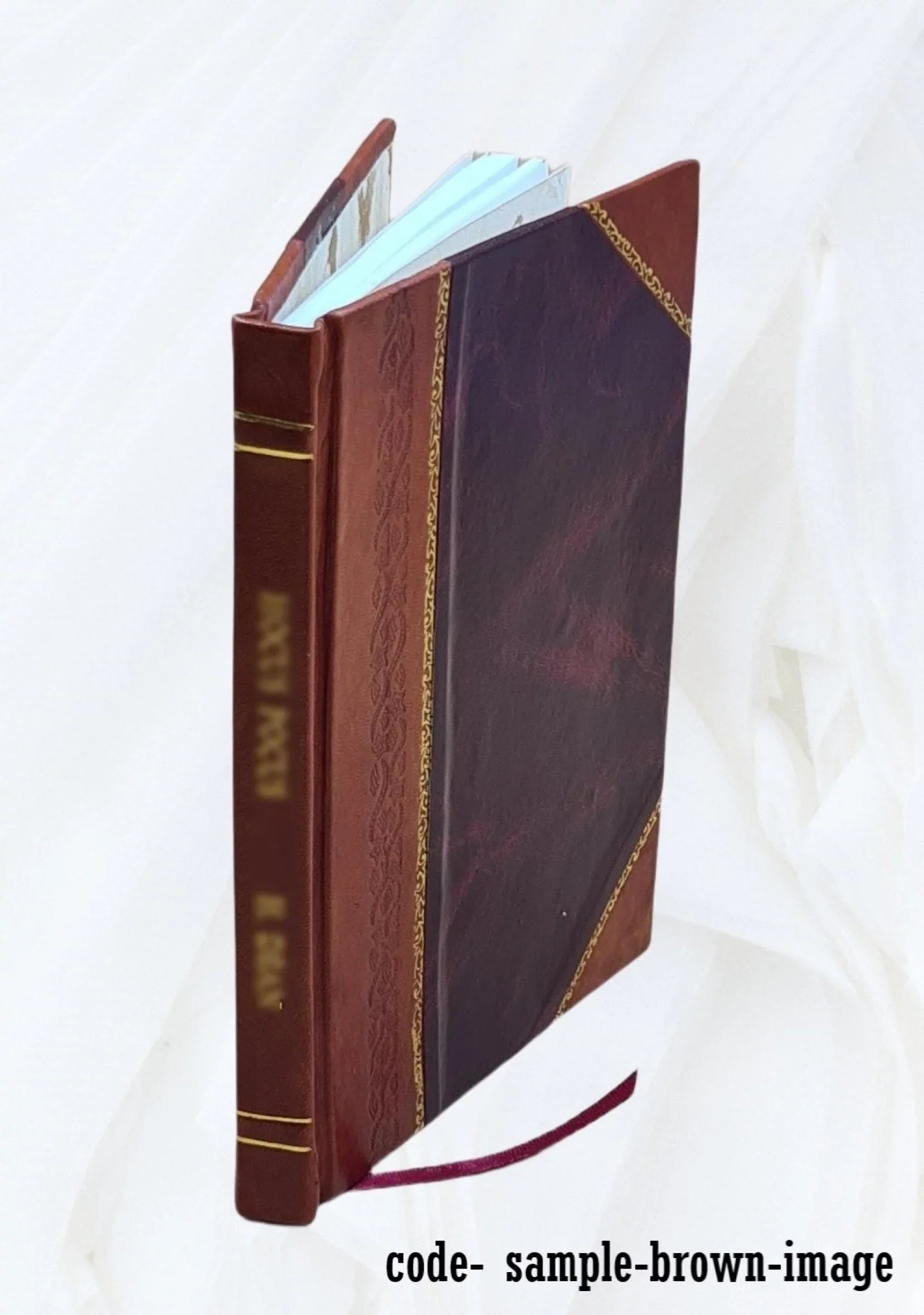 Phenomena of nature: the vacuum, by J. A. Cochrane. 1924 [Leather Bound]