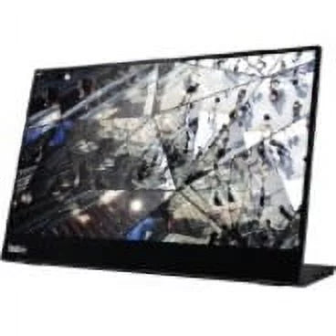 Lenovo ThinkVision M14t 14" LCD Touchscreen Monitor - 16:9 - 6 ms Extreme Mode