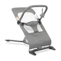 Baby Delight Alpine Deluxe Portable Baby Bouncer, Infants 0-6 Months, Charcoal Tweed