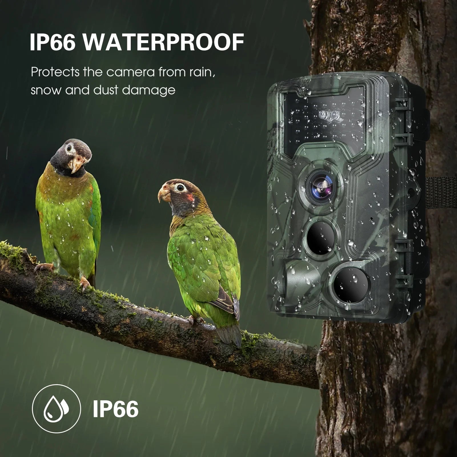 Waterproof 1080P Trail and Game Camera, 36MP Night Vision Camera Wildlife Researching