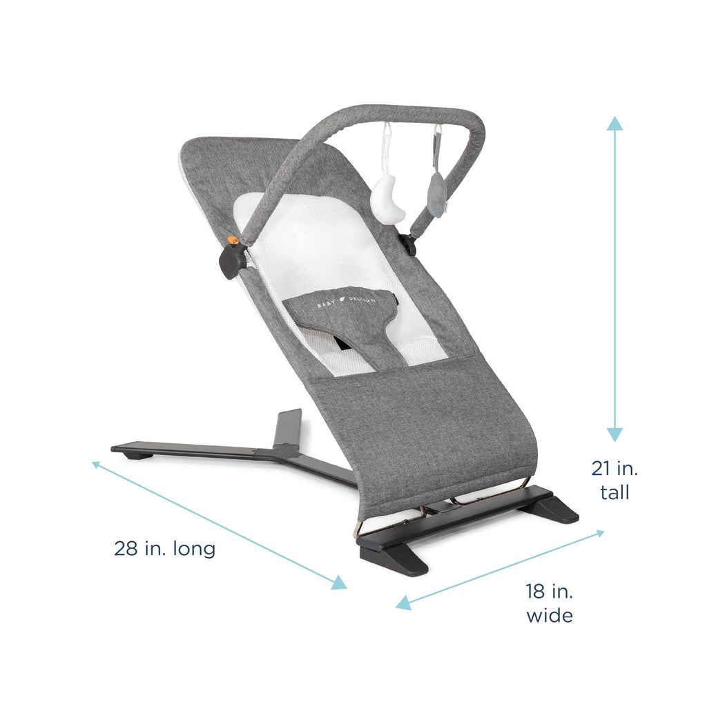 Baby Delight Alpine Deluxe Portable Baby Bouncer, Infants 0-6 Months, Charcoal Tweed