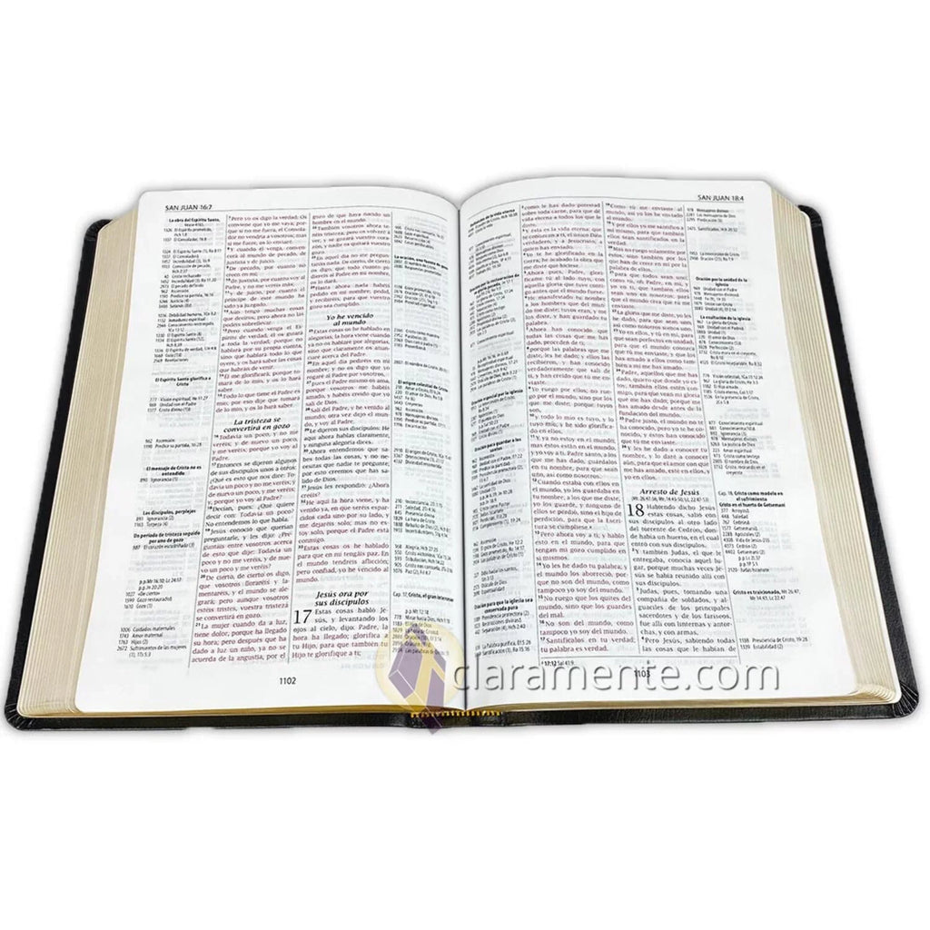 Biblia de Referencia Thompson, Reina Valera 1960, Piel Reciclada/ Spanish Thompson Chain Reference Bible, Reina Valera 1960, Recycled Leather Fibers (Other)